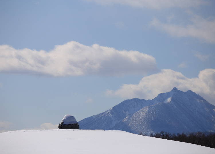 帶著白雪帽的頭大佛　照片提供：真駒內瀧野靈園