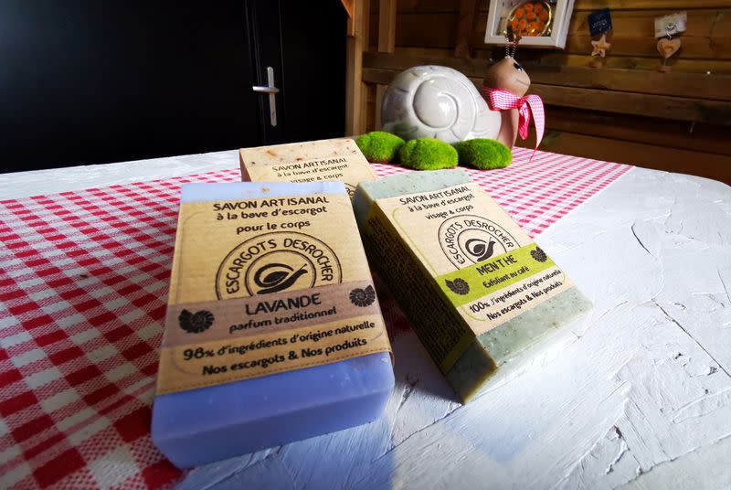 French artisan makes soap with snail slime in northern France