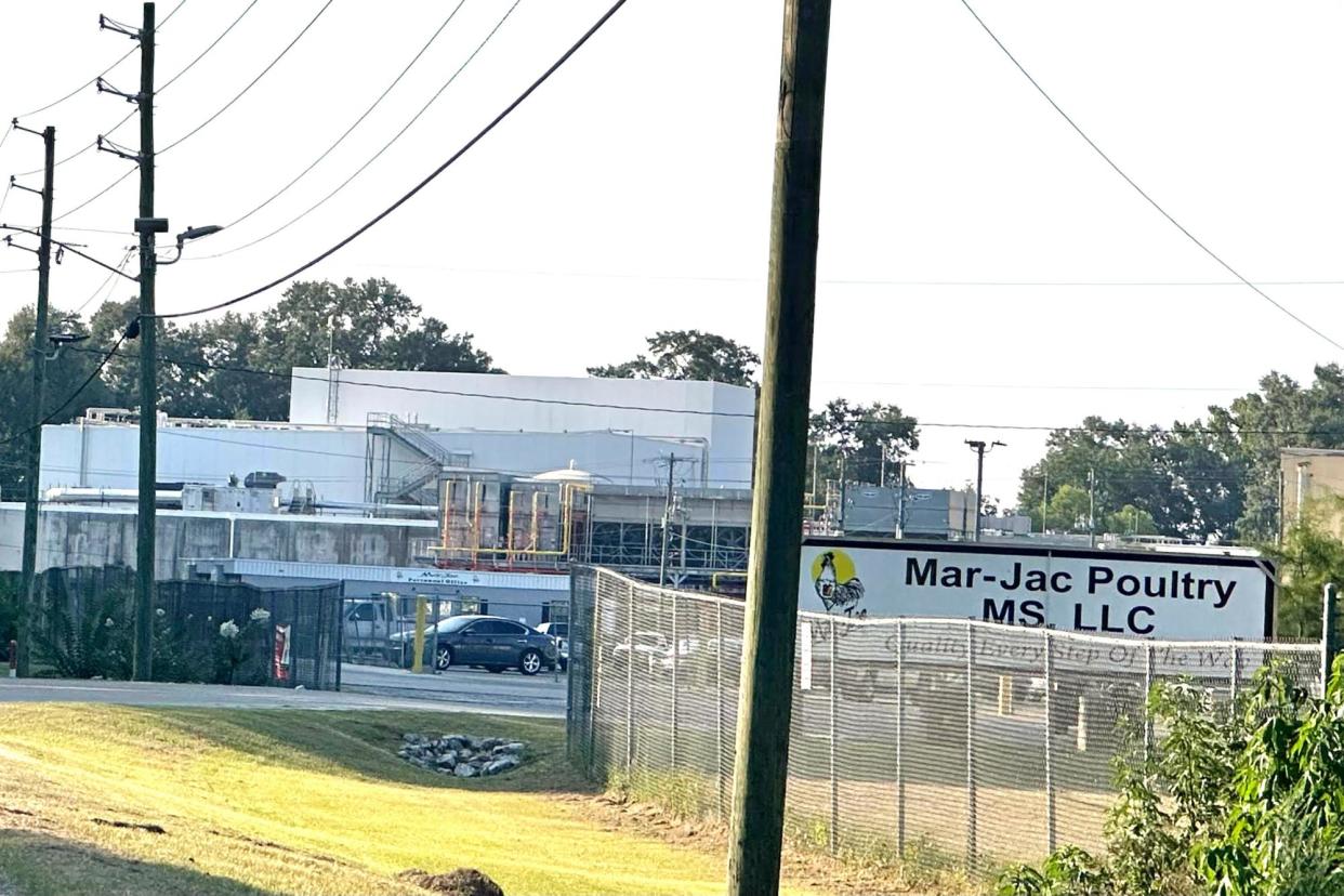<span>Mar-Jac Poultry in Hattiesburg, Mississippi, on 26 July 2023.</span><span>Photograph: Lici Beveridge/Hattiesburg American via AP</span>