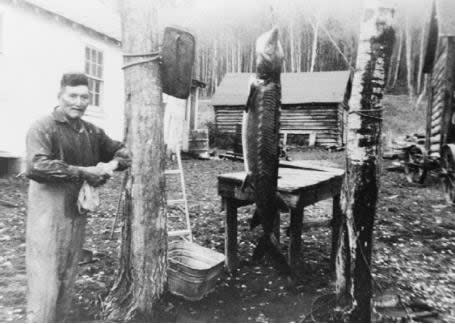 The B.C. Supreme Court decision included archival photographs like this one of a man with a sturgeon outside his home in the years before the construction of the Kenney dam. A judge says the dam had a huge impact on Nechako fish stocks.