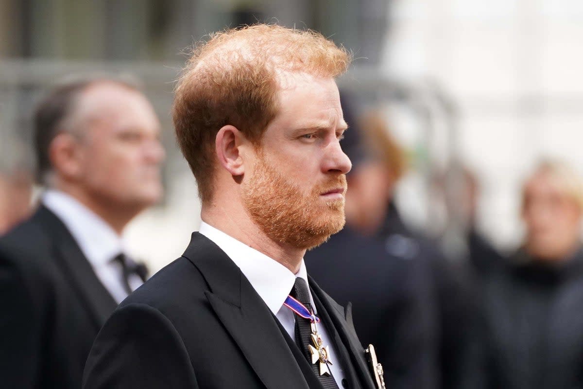 Prince Harry is among the group,  a law firm for one of the members said  (Getty Images)