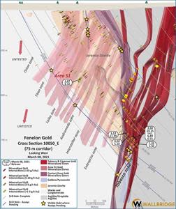 Fenelon Gold, Cross Section 10050_E