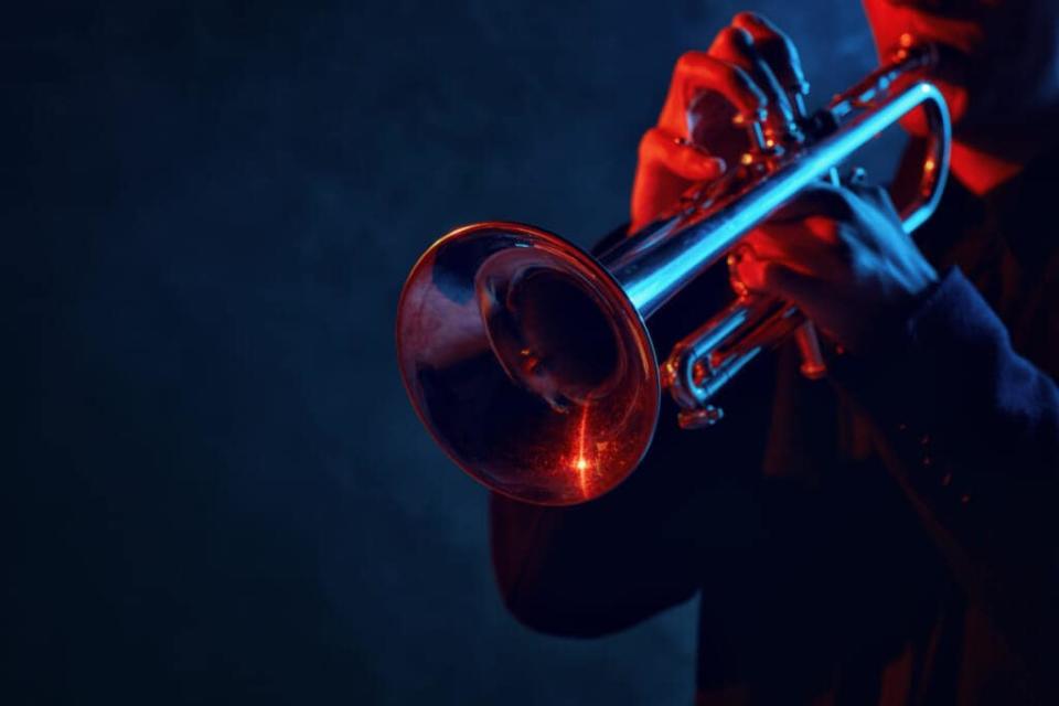 Jazz performer at a club (Adobe Stock)