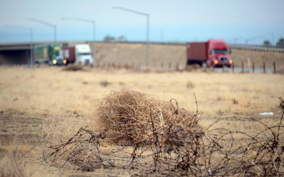 Tumbleweed rolls across a dried-out landscape in central California’s Kern County as trucks head south on a nearby highway.