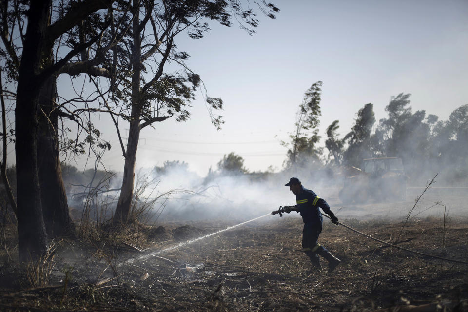 Israel forest fire