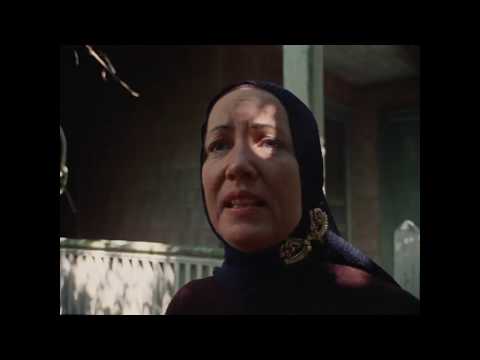 8) Grey Gardens