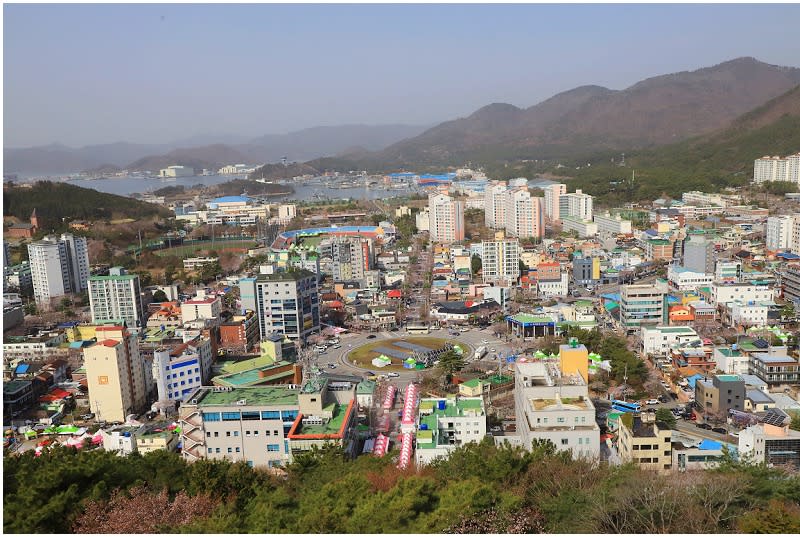 釜山鎮海｜慶和站櫻花路 (경화역벚꽃길)