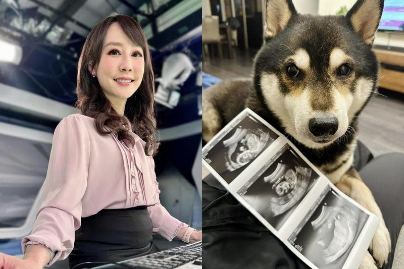 主播吳宇舒宣布懷孕，貼出了超音波照，愛狗也入鏡。（翻攝臉書）