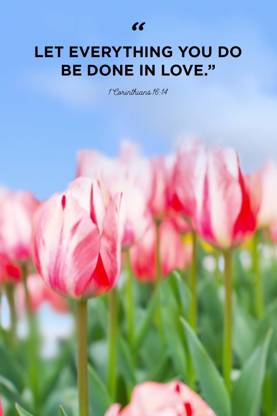 <p>"Let everything you do be done in love."</p>