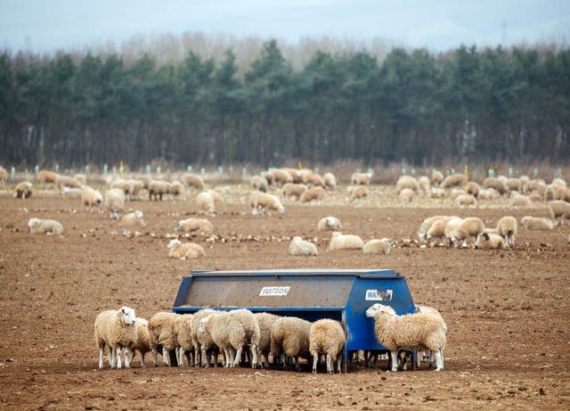 Countryside stock