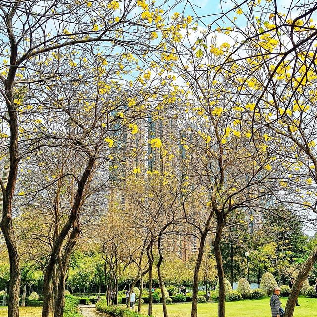 香港野餐地點-野餐好去處-山頂公園-復活節好去處