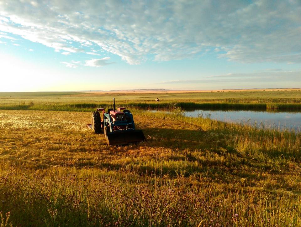 Farmland near Choteau, Minn.