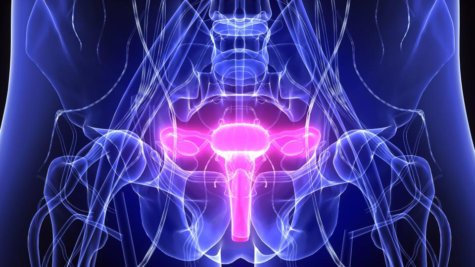 Spotting These Cervical Cancer Symptoms Could Save Your Life
