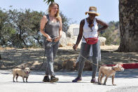 <p>Alicia Silverstone and her friend take their dogs for a walk in Los Angeles over the weekend.</p>