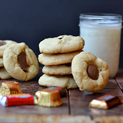 Holiday Sugar Cookies