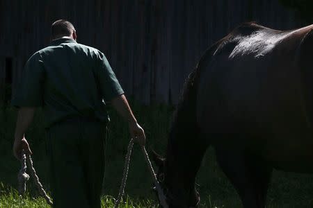 John Cook, an inmate at the State of New York Wallkill Correctional Facility, stands with a retired thoroughbred on a prison farm in Wallkill, New York June 16, 2014. REUTERS/Shannon Stapleton