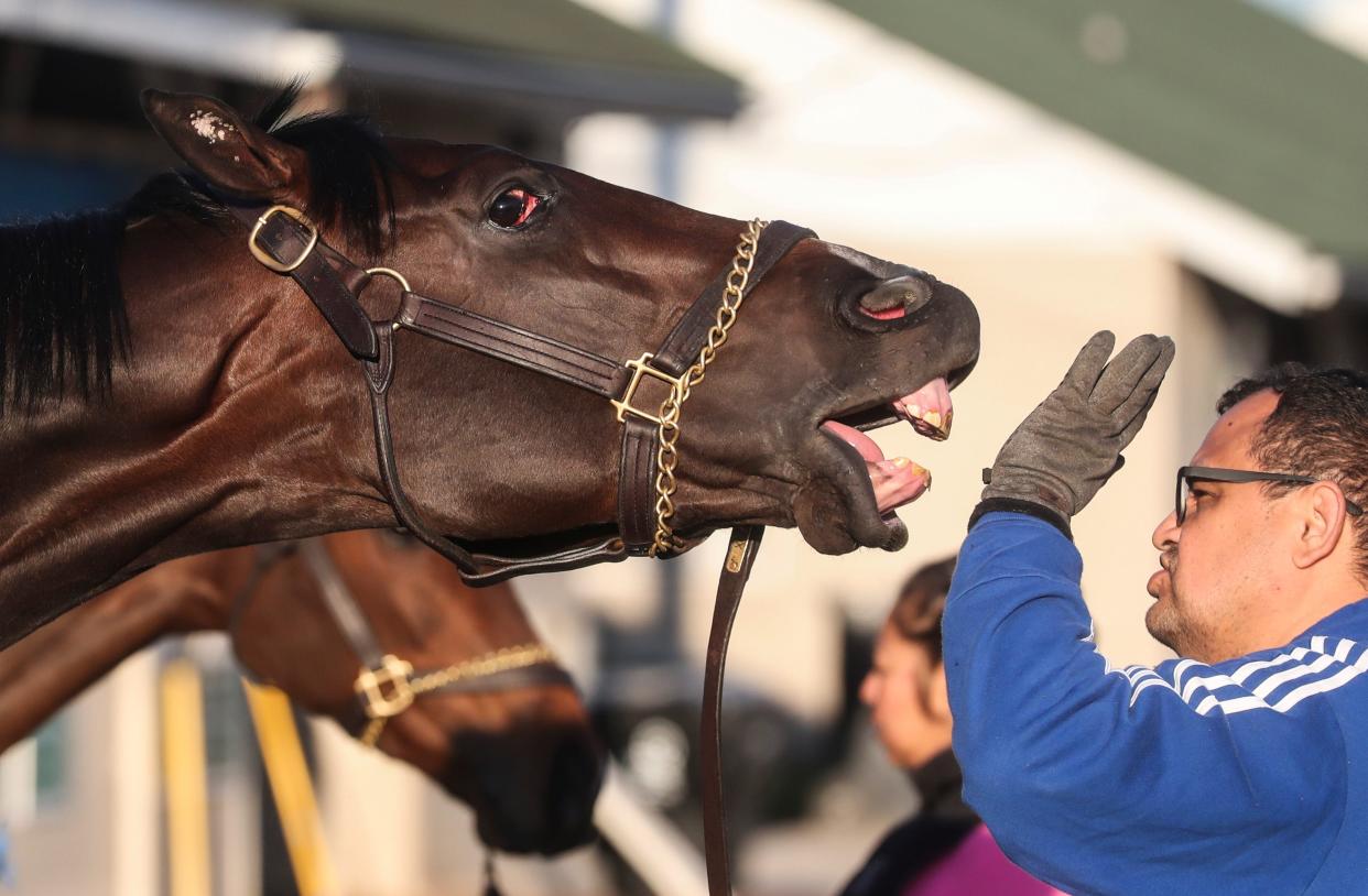 Just A Touch was just a touch frisky during bath time outside Trainer Brad Cox's barn on Saturday morning at Churchill Downs in Louisville, Ky. April 20, 2024.