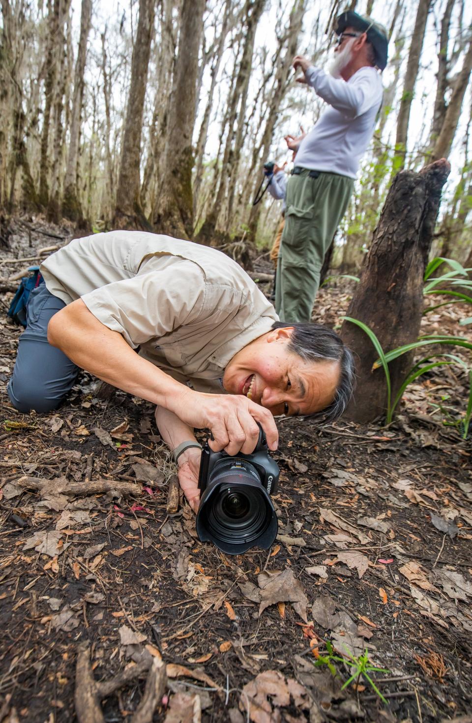 Doug Eng takes pictures of a sprouting cypress tree while working on a project on the Ocklawaha River in 2020.