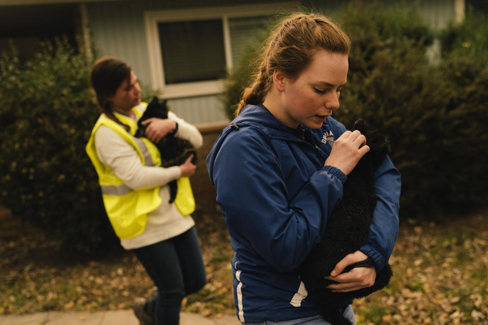 <p>Samantha Esau, 19, of Chico, Emily Garcia of Magalia take in stray cats from an evacuated home in Paradise, California on Nov. 12, 2018. As of Monday morning, Camp Fire is at 113,000 acres with 25% containment. (Photo: Mason Trinca for The Washington Post via Getty Images) </p>