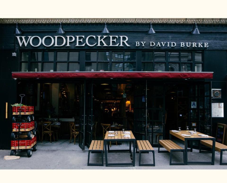 Open: Woodpecker by David Burke