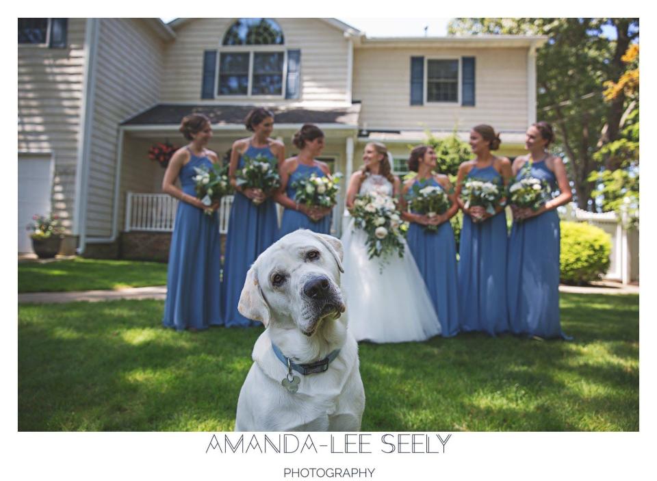 "Cooper stole the show at Jen and Eric's wedding in Babylon, New York." --&nbsp;<i>Amanda-Lee Seely</i>