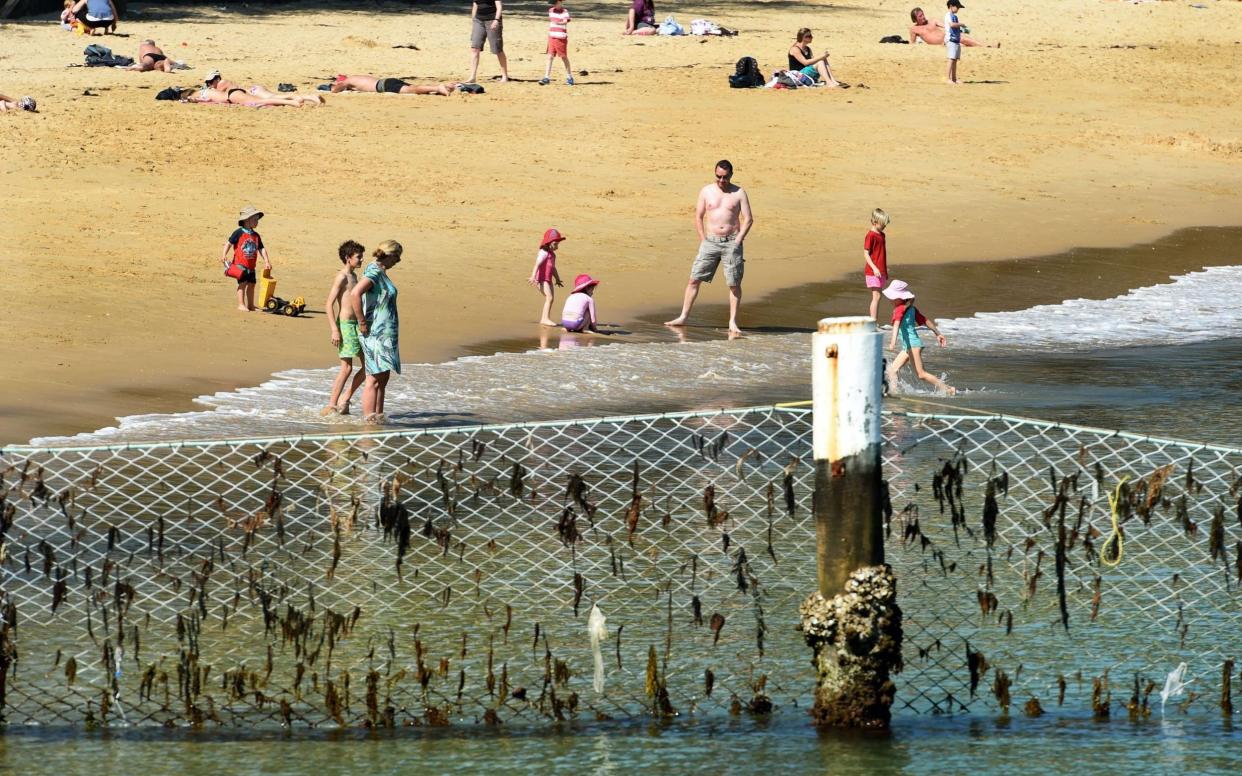 A shark net protects children as they plat on a beach in Manly Cove, Sydney - AFP/William West