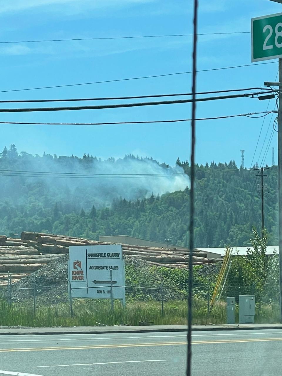 A brush fire burning up a hill on Memorial Day near 26th and South F in Springfield.