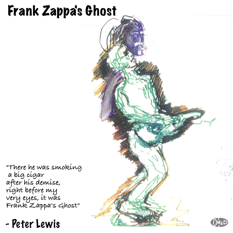 This cover image released by OMAD Records shows "Frank Zappa's Ghost" by Peter Lewis. (OMAD Records via AP)