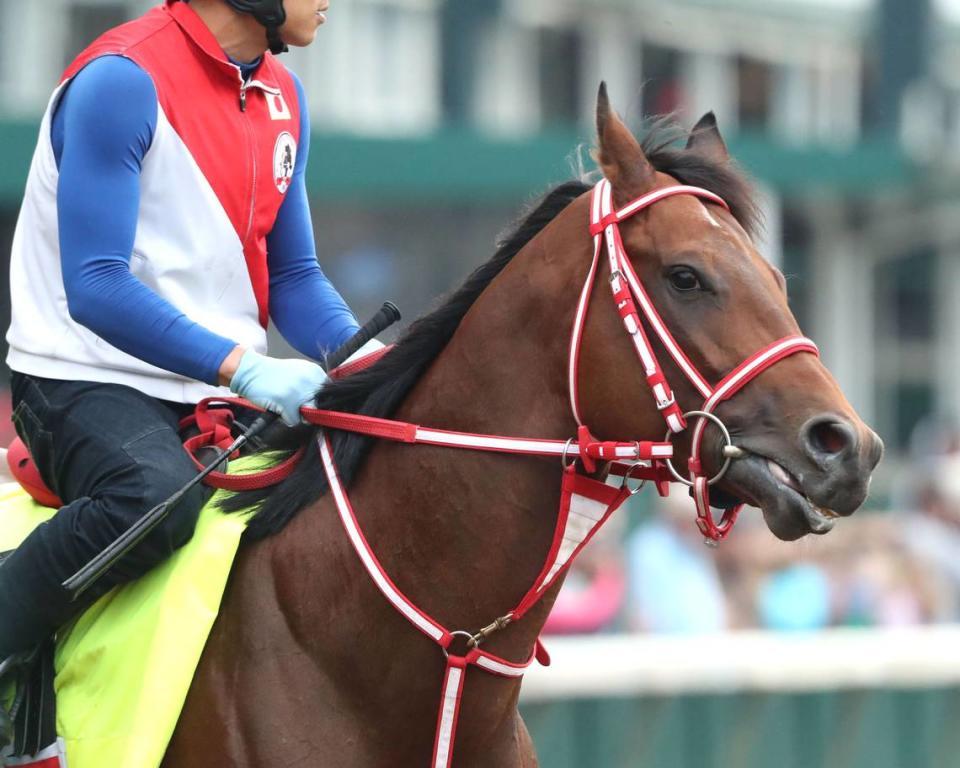 Kentucky Derby hopeful Forever Young prepares to take the track at Churchill Downs on April 27. He won his most recent race, the Grade 2 UAE Derby at Meydan Racecourse, on March 30.