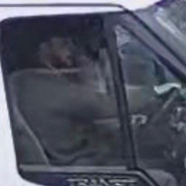 Police want to speak to a man pictured in a white van near the area. (Kent Police)

