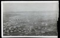 <span>An original </span><span>3" x 5 1/2" photo, taken from the deck of the Carpathia, shows the icy ocean.</span><br><br>(Photo courtesy of <a href="http://www.weissauctions.com/" rel="nofollow noopener" target="_blank" data-ylk="slk:Phillip Weiss Auctions;elm:context_link;itc:0;sec:content-canvas" class="link ">Phillip Weiss Auctions</a>)