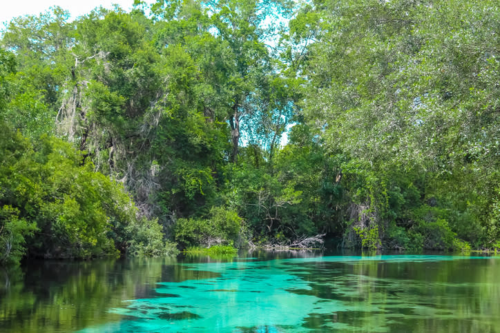 Weeki Wachee Springs