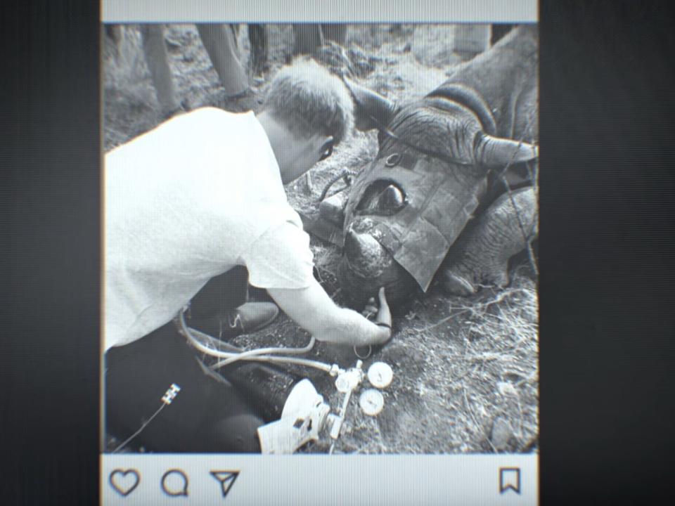 An Instagram photo of Prince Harry with a rhinoceros.