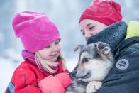 <p>How about a sleigh ride beneath the Northern Lights to delight your kids? Head to Finnish Lapland with Activities Abroad, where you’ll meet huskies, take a reindeer sleigh ride and try traditional Finnish Christmas crafts such as baking festive cookies and making a Christmas stocking. Snowshoeing, tobogganing and ice fishing are also available, as well as meeting Santa. A four-night break, departing December 1, 4, 11 and 18, is from £1,495 per adult / £1,185 per child (4-12 years) / £765 per child (2-3 years) and includes London flights, transfers, four nights’ full-board accommodation, activities listed, cold weather clothing and expert guides. <em>[Photo: Activities Abroad]</em> </p>