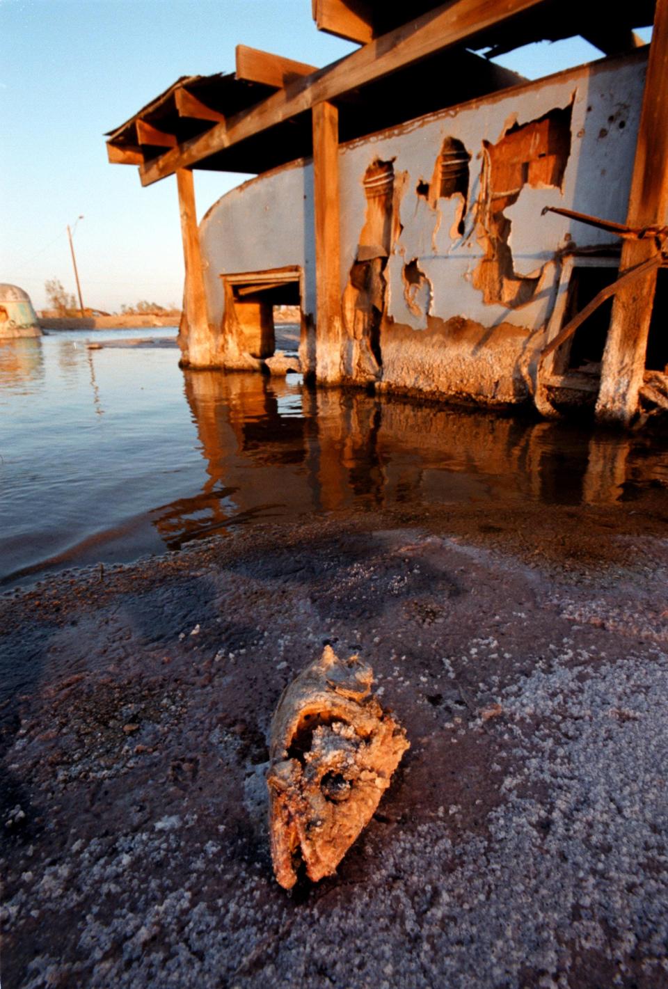 A fish head lies near a house trailer at Bombay Beach in 2000.