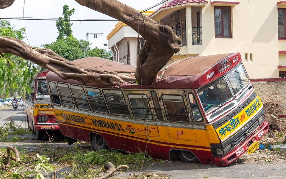 Kolkata, West Bengal, India, May 20, 2020: Severe cyclonic storm damage aftermath with view of a public transport bus crushed by an uprooted tree on a city road at Kolkata, India