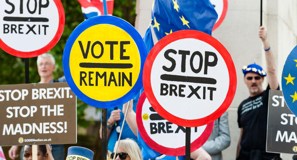 Protestors calling for Britain to remain in the European Union are seen with signs and banners outside the Houses of Parliament on May 24.