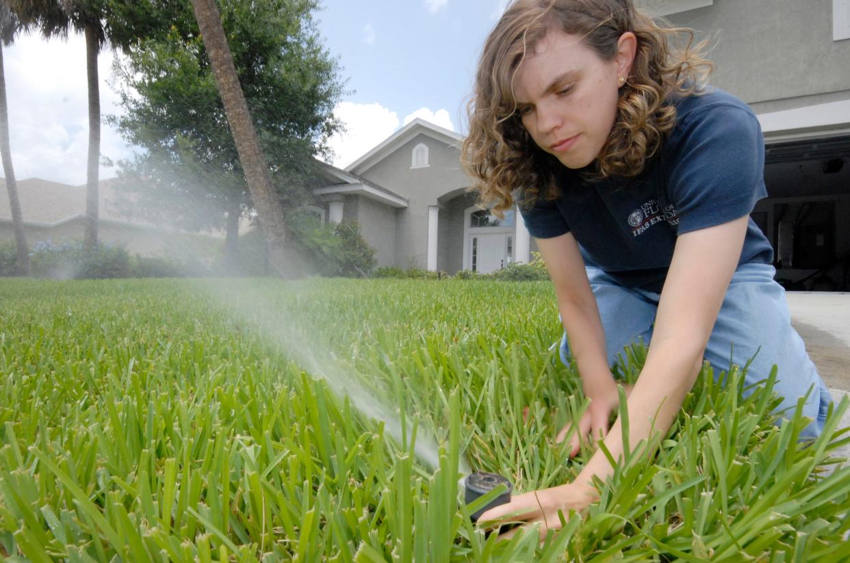 Extension agent Janet Bargar checks the water flow and direction of a pop-up irrigation system at a home in Vero Beach.