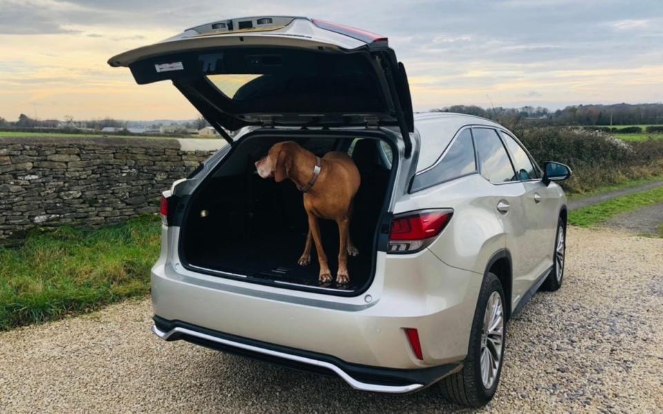 2020 Lexus RX 450h luxury SUV on long-term test