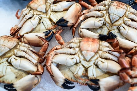 Cromer crab - Credit: istock