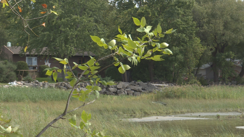 Montreal acquires land once slated for housing to expand L'Anse-à-l'Orme nature park