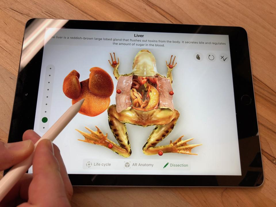 The iPad’s processing power allows you to do things like dissect virtual frogs without hurting any real amphibians.