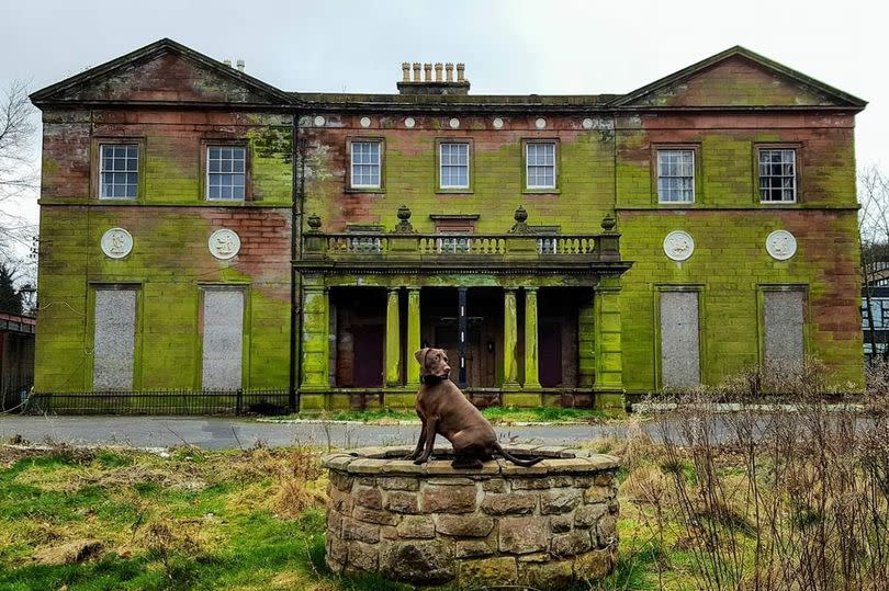 A general view of Woolton Hall in Liverpool, with a dog in the photo