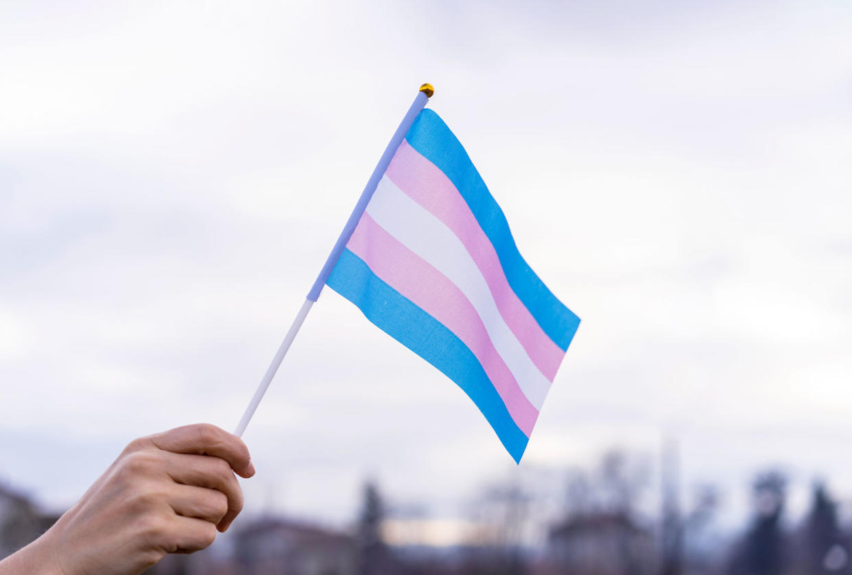 Transgender FlagGetty Images/Vladimir Vladimirov