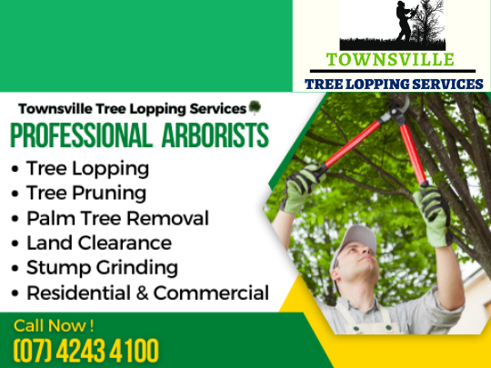 tree stump removal townsville qld