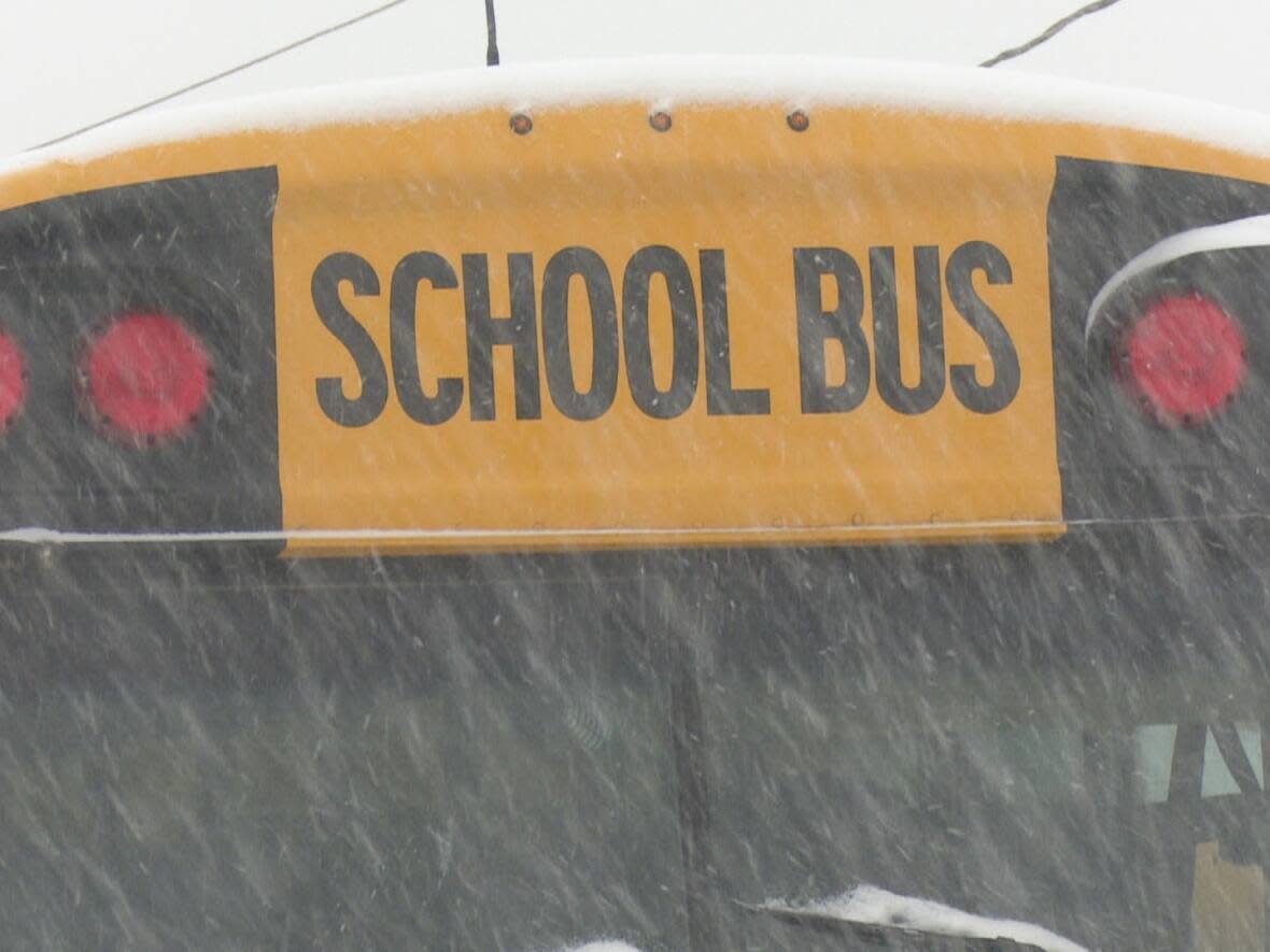 School buses are cancelled in some places south and east of Ottawa Wednesday. (Sanjay Maru/CBC - image credit)