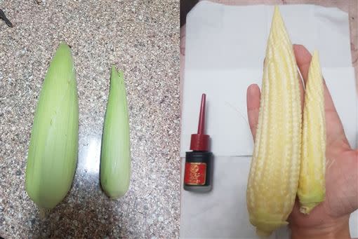 跟一般玉米筍相比，簡直是怪物尺寸。（圖／翻攝自爆廢公社公開版）