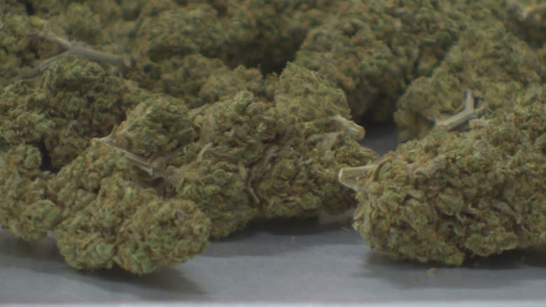 Yukon to stockpile $2.7M worth of cannabis ahead of legal sales