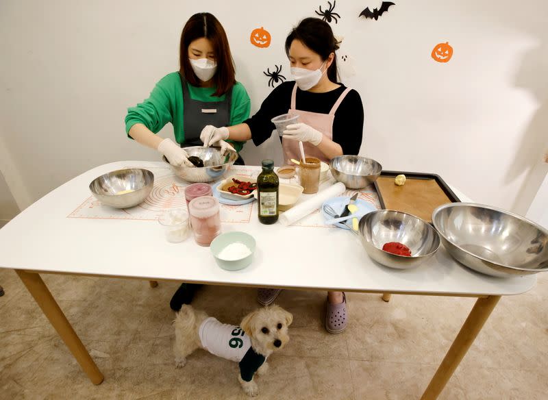La propietaria de una tienda para mascotas prepara galletas para perros inspiradas en la serie de Netflix "El juego del calamar", en Seúl