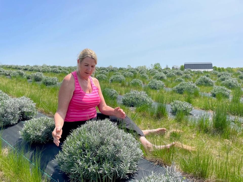 Windy Mack of Belle Lavande makes products with lavender Monday, May 15, 2023.